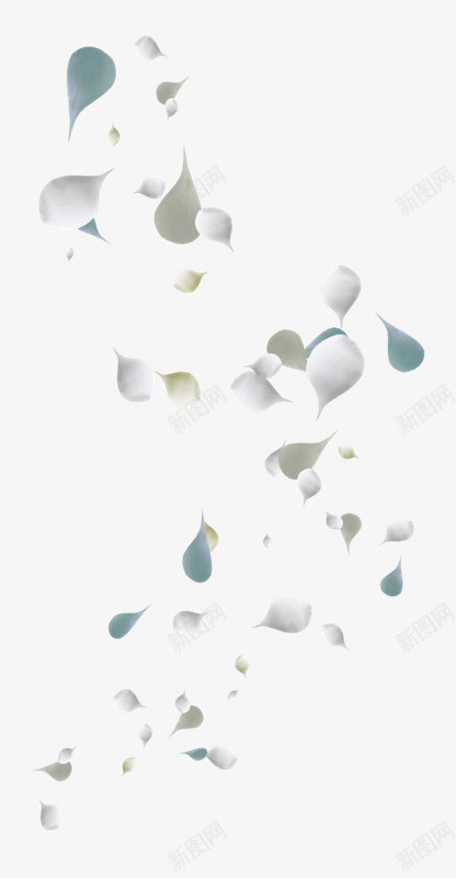 白色玫瑰花朵花瓣png免抠素材_88icon https://88icon.com 玫瑰 白色 花朵 花瓣