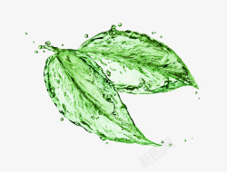 水滴图绿叶水花绿叶元素高清图片