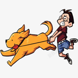 牵着导盲犬奔跑的导盲犬高清图片