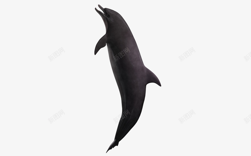 鱼3d卡通动物png免抠素材_88icon https://88icon.com 卡通鱼 海底生物 自然 鱼类