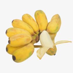 一串黄色小清新淘宝小米蕉水果免素材