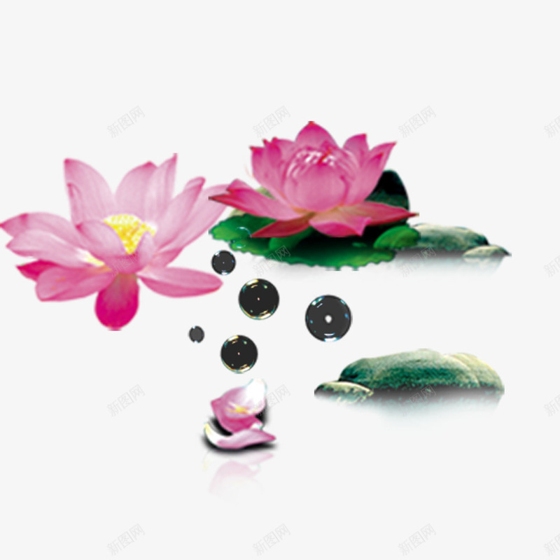 中国风水墨荷花池png免抠素材_88icon https://88icon.com ps花池 中国风 水墨画 水滴 荷花池 莲花