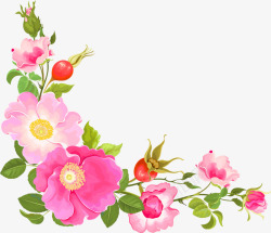 粉色浅粉色花朵手绘素材