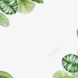 芭蕉树树叶手绘绿色叶子背景装饰高清图片