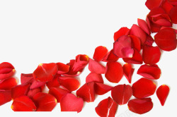 婚照情人节妇女节三八节花瓣高清图片