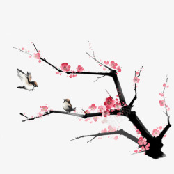 中国风水墨梅花树枝手绘花鸟水墨画高清图片
