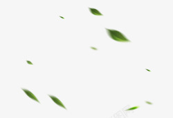 绿叶漂浮悬浮漂浮的茶叶高清图片