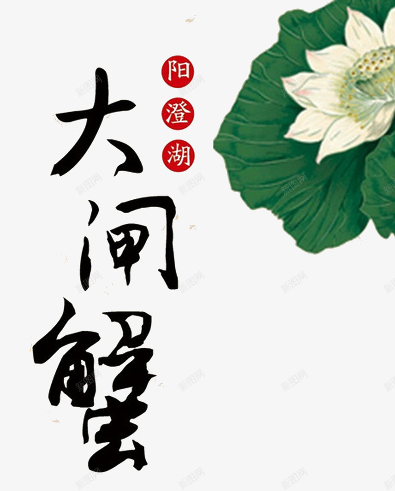 阳澄湖大闸蟹文字png免抠素材_88icon https://88icon.com 单页 大闸蟹 标题 海报 荷花 装饰 边角框 阳澄湖