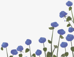 蓝玫瑰插画小清新玫瑰花花卉元素高清图片