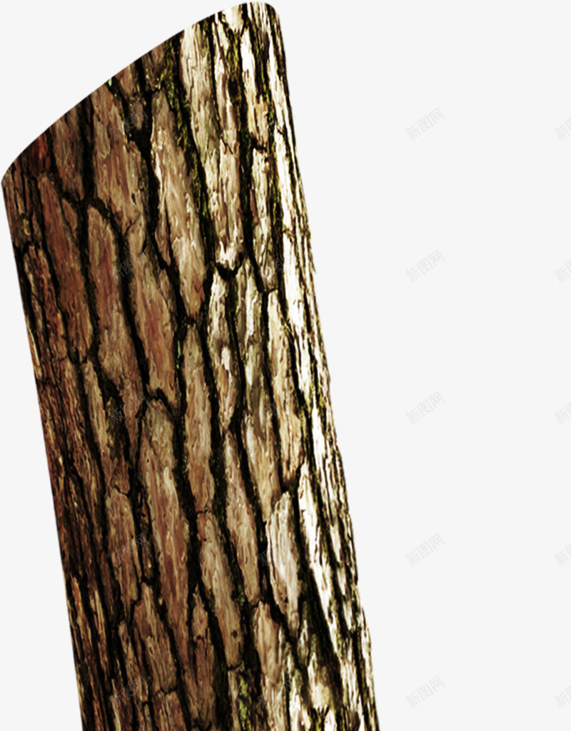 一节棕色木桩png免抠素材_88icon https://88icon.com 一节 木桩 棕色