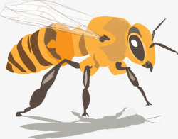 黄蜂手绘大黄蜂高清图片
