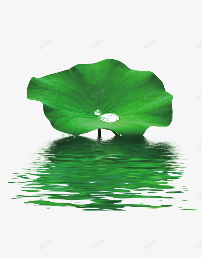 中国风有水珠荷叶海报png免抠素材_88icon https://88icon.com 中国风海报 中国风海报下载 中国风海报模板下载 传统风景画 古 山水画 房地产海报 梅花 水墨 水墨江南 水墨江南海报设计 水墨风景 水韵 江南 江南海报 江南美景 江南风景 祥 竹子 荷花 莲花 雁 风景 鲤鱼