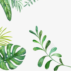 简约植物画册清新水彩叶子边框高清图片