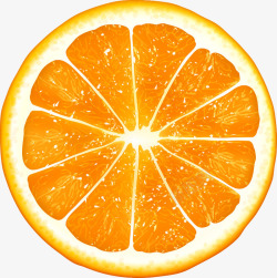 切开的新鲜橙子矢量图素材