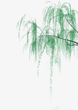 垂杨柳水墨柳树叶图高清图片