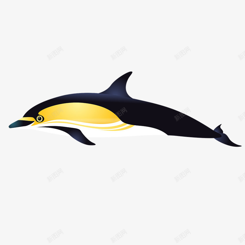 黑色海豚卡通画psd免抠素材_88icon https://88icon.com 动物 卡通 海底 自然