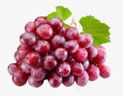 紫色葡萄水果新鲜的葡萄绿叶水果高清图片