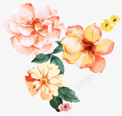 花朵文本框唯美水彩花朵图案高清图片