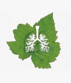 绿色创意树叶肺部插画素材