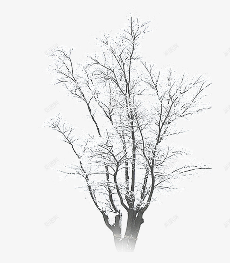 冬季下雪结冰的树木psd免抠素材_88icon https://88icon.com 下雪 冬季 干枯的 干枯的树枝 枝头积雪 树 树木 树枝 结冰 雪 雪景