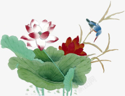 中式手绘水彩荷叶荷花素材