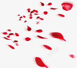 红色玫瑰花瓣飞舞图案素材