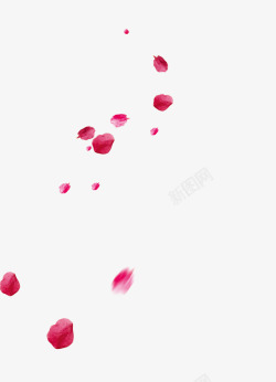 粉红花瓣情人节玫瑰花瓣高清图片
