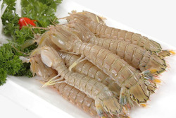 海鲜生虾一盘素材