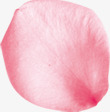 玫瑰瓣粉色玫瑰花瓣高清图片