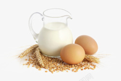 矢量鸡蛋早餐牛奶鸡蛋高清图片