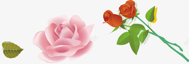 粉色爱心粉玫瑰花茶图标图标