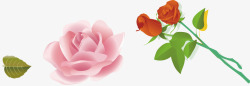 紫玫瑰粉玫瑰花茶图标高清图片