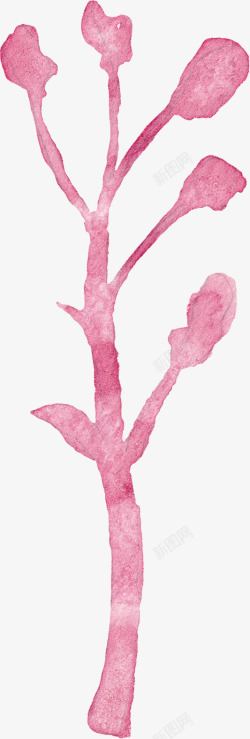 手绘粉色的一株花素材