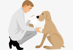 老年康复医疗受伤的狗狗卡通高清图片