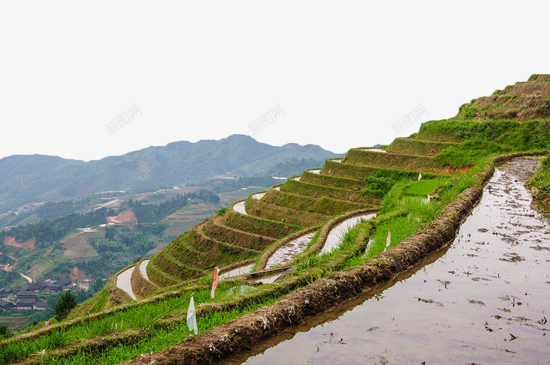 云南梯田png免抠素材_88icon https://88icon.com 农田 春耕春种 春耕节 梯田 水田 风景