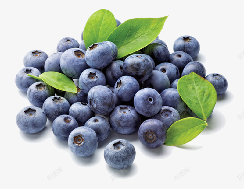 蓝莓水果绿叶营养健康png免抠素材_88icon https://88icon.com 健康 水果 绿叶 营养