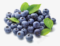 蓝莓水果绿叶营养健康素材