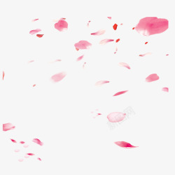 粉红花卉飘落樱花花瓣元素高清图片