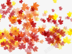 褐色枫叶褐色秋季枫叶高清图片