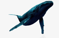 梦幻蓝色海洋背景图片蓝色鲸鱼高清图片