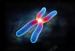 生物基因染色体dna细胞素材