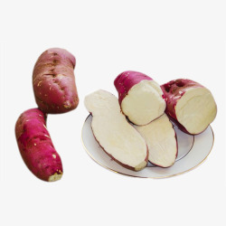 新鲜白瓤红薯素材