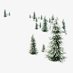 树林落满雪花素材