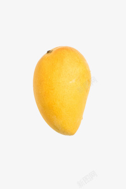 黄色芒果奶实物小台农芒果高清图片