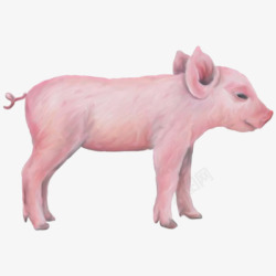 小猪佩奇粉红小猪高清图片