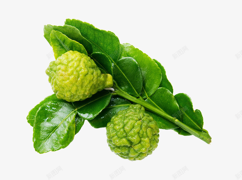 现摘青柠檬微距摄影png免抠素材_88icon https://88icon.com 健康 实物 新鲜水果 柠檬 柠檬香茅 现摘青柠檬微距摄影 素食主义 绿色叶子 褶皱 酸