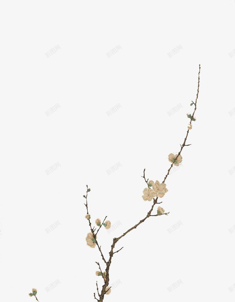 国画梅花png免抠素材_88icon https://88icon.com 国画 工笔画 梅花 漂浮素材