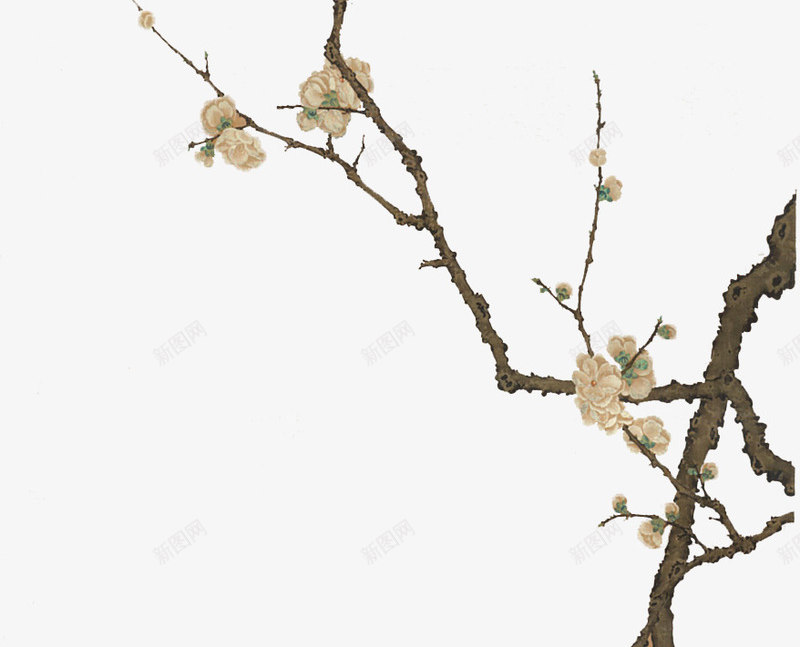 国画梅花png免抠素材_88icon https://88icon.com 国画 工笔画 梅花 漂浮素材