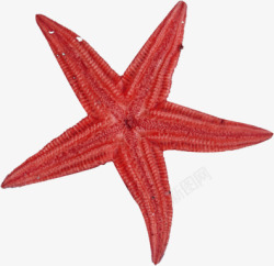 摄影红色沙滩海边星星素材