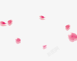 简单粉色花瓣背景图素材